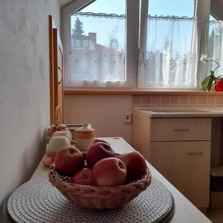 Apartman U Potoka Nove Mesto na Morave Exterior photo