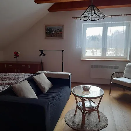 Apartman U Potoka Nove Mesto na Morave Exterior photo