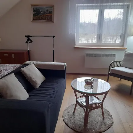 Apartman U Potoka Nove Mesto na Morave Exterior photo