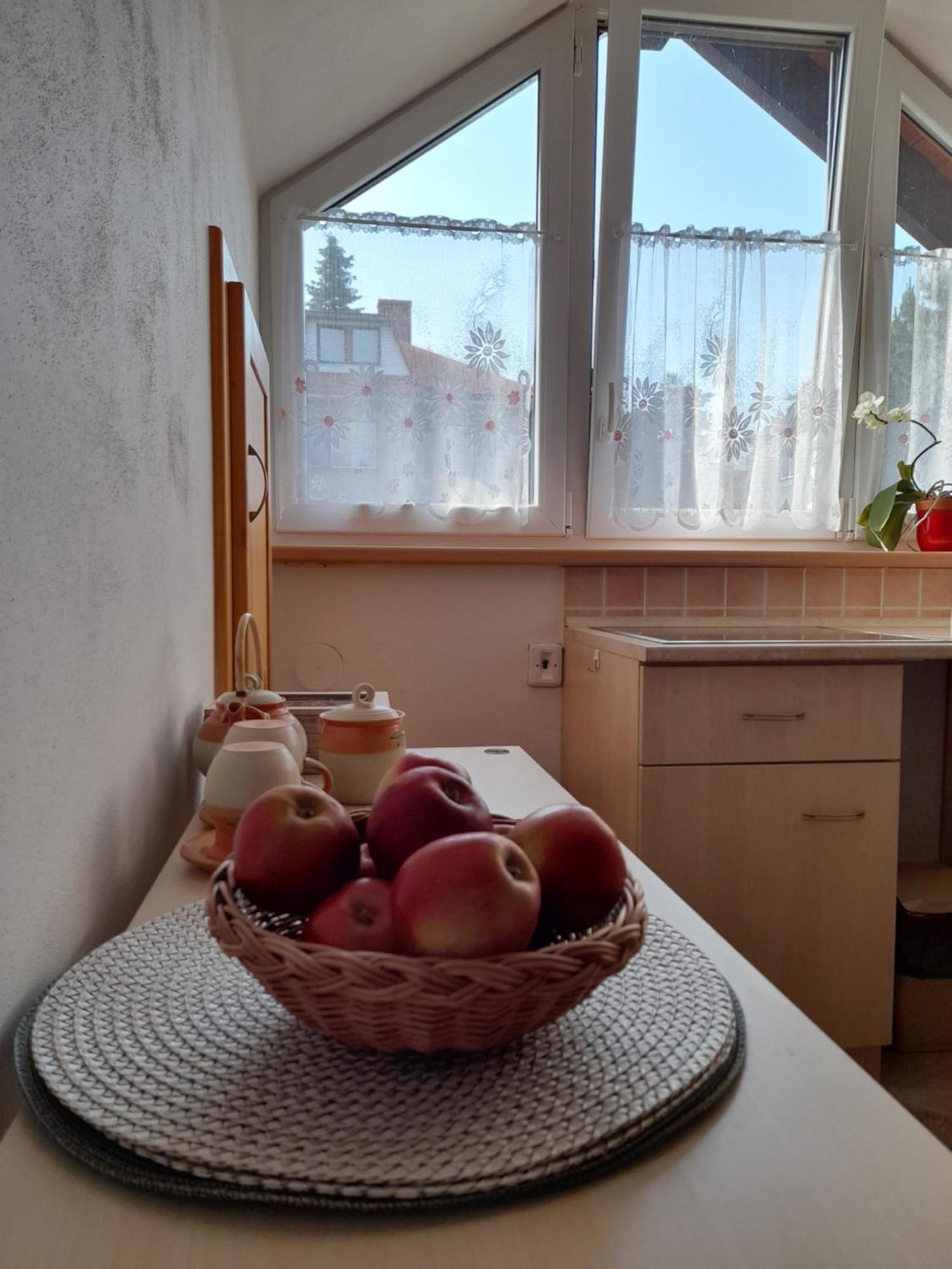 U Potoka Apartment *